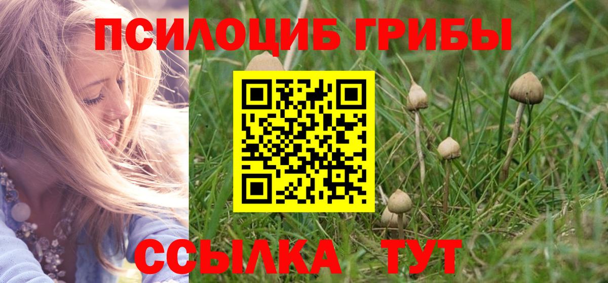 Псилоцибиновые грибы MAGIC MUSHROOMS  Псилоцибиновые грибы мухоморы  Рузаевка  Вход с VPN 